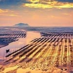 Manuel Saavedra avatar